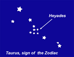 Taurus